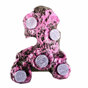 5 Hole magnetic branch frag rock display