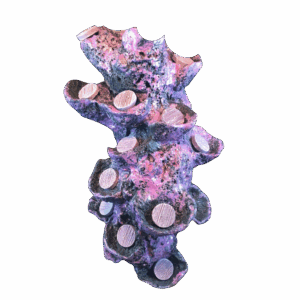 15 holed vertical frag rock display