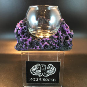 Anemone/Mushroom sandbed display !!