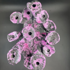 Peninsula 12 holed mag branch rock BLACK/CORALLINE