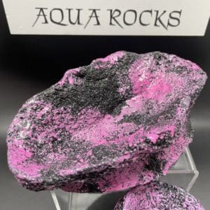 Aquarocks Clam Holder