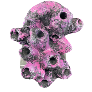 10 holed magnetic barnacle