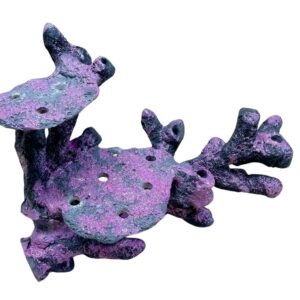 Bonsaii reef nanoscape #2