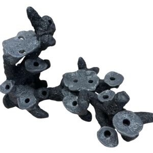 Blacked out aquascape #1